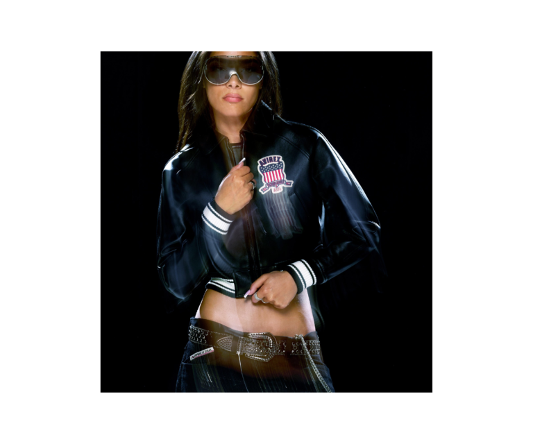 Avirex cropped icon jacket in jet black - photo 11